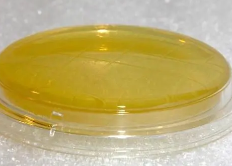 表面微生物總數(shù)檢測