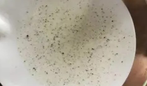納米級(jí)微塑料檢測(cè)
