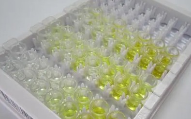 蛋白質(zhì)吸附量測(cè)試