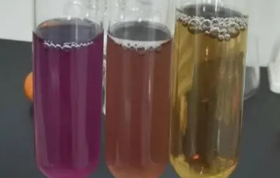 大腸桿菌測序檢測