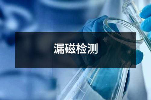 漏磁檢測(cè)