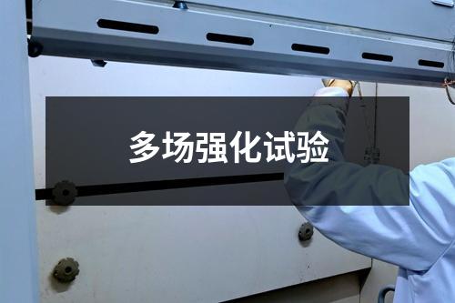 多場強化試驗