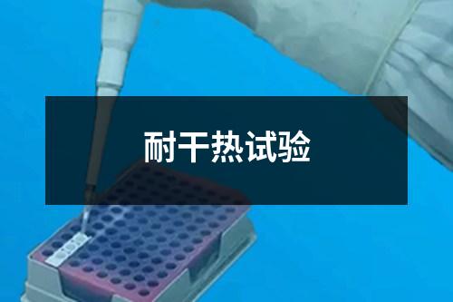 耐干熱試驗(yàn)