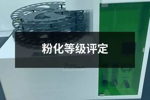 粉化等級評定