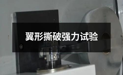 翼形撕破強力試驗