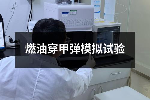 燃油穿甲彈模擬試驗(yàn)