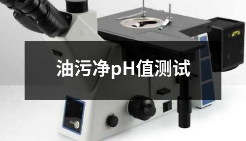 油污凈pH值測試