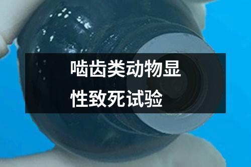 嚙齒類動(dòng)物顯性致死試驗(yàn)
