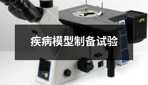 疾病模型制備試驗