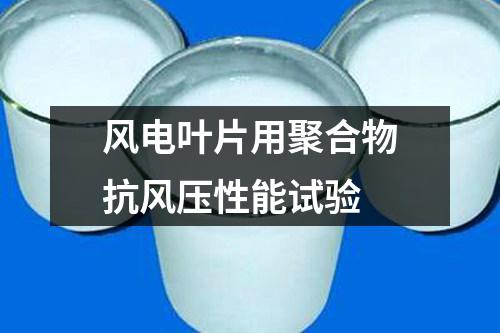 風(fēng)電葉片用聚合物抗風(fēng)壓性能試驗(yàn)