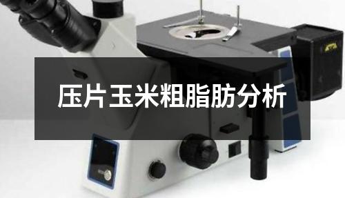 壓片玉米粗脂肪分析