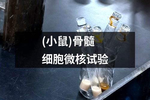 (小鼠)骨髓細(xì)胞微核試驗(yàn)