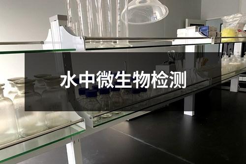 水中微生物檢測
