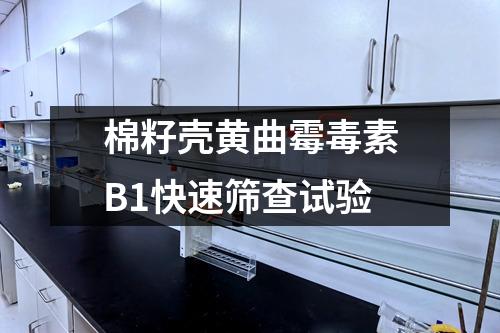 棉籽殼黃曲霉毒素B1快速篩查試驗(yàn)