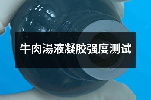 牛肉湯液凝膠強度測試