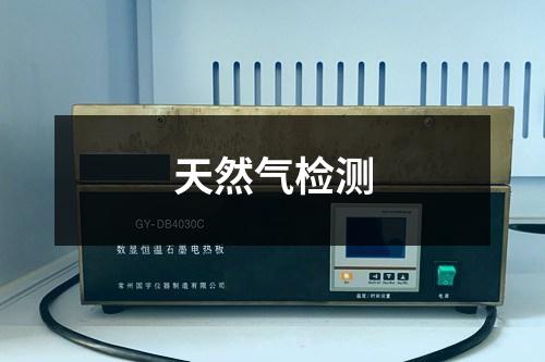 天然氣檢測
