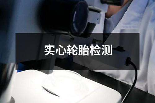 實(shí)心輪胎檢測(cè)