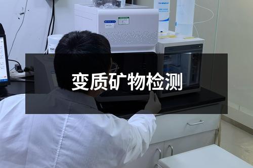 變質(zhì)礦物檢測(cè)