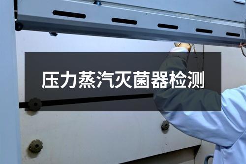 壓力蒸汽滅菌器檢測(cè)