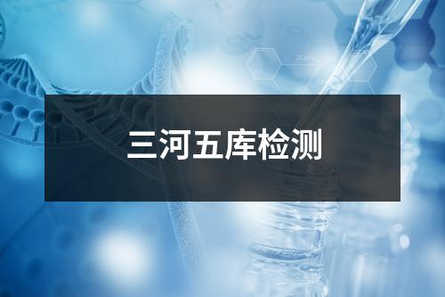 三河五庫(kù)檢測(cè)