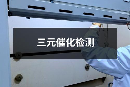三元催化檢測
