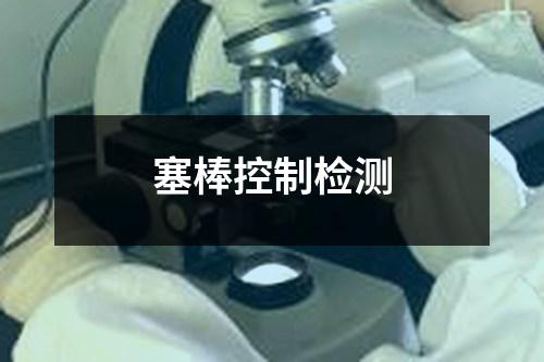 塞棒控制檢測