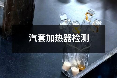 汽套加熱器檢測(cè)