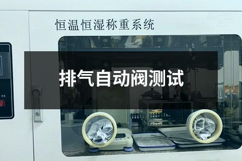 排氣自動(dòng)閥測(cè)試