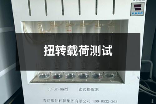 扭轉(zhuǎn)載荷測(cè)試