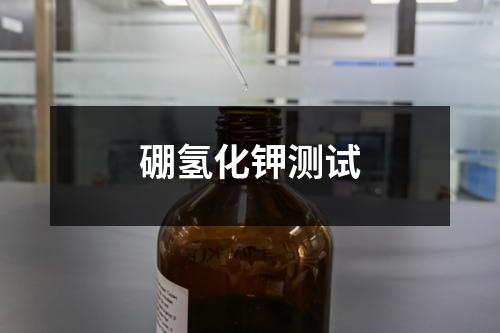 硼氫化鉀測試
