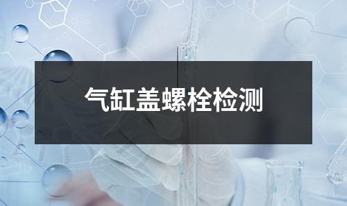 氣缸蓋螺栓檢測(cè)