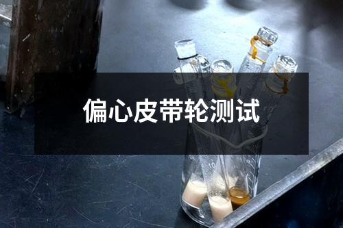 偏心皮帶輪測試