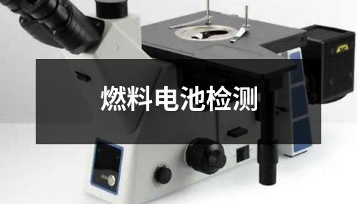 燃料電池檢測