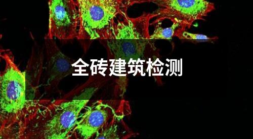 全磚建筑檢測