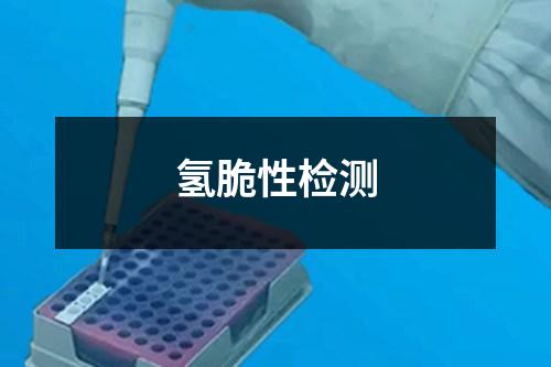 氫脆性檢測