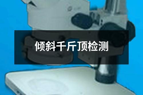 傾斜千斤頂檢測(cè)