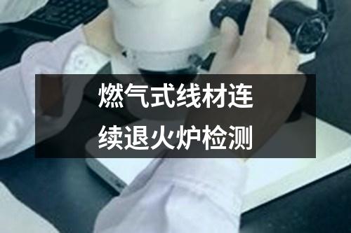 燃?xì)馐骄€材連續(xù)退火爐檢測(cè)