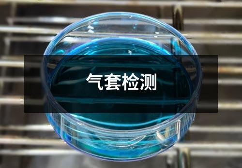 氣套檢測(cè)