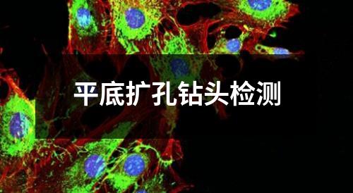 平底擴(kuò)孔鉆頭檢測
