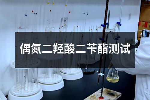 偶氮二羥酸二芐酯測試