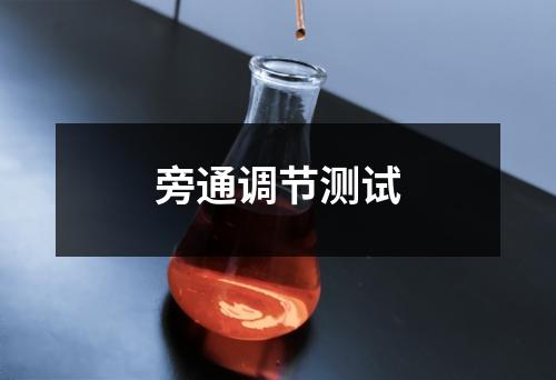 旁通調(diào)節(jié)測(cè)試