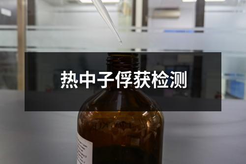 熱中子俘獲檢測