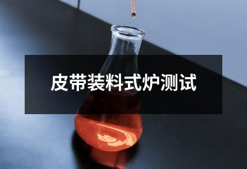 皮帶裝料式爐測試