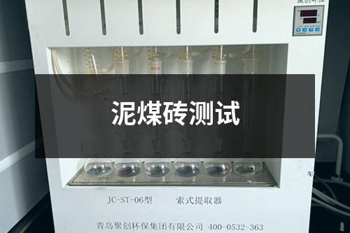 泥煤磚測(cè)試