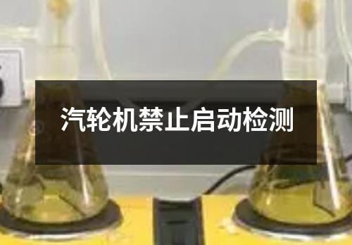 汽輪機(jī)禁止啟動(dòng)檢測(cè)