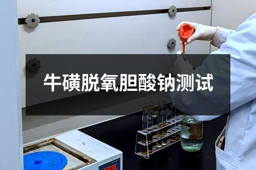 ?；敲撗跄懰徕c測試