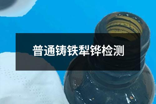 普通鑄鐵犁鏵檢測(cè)