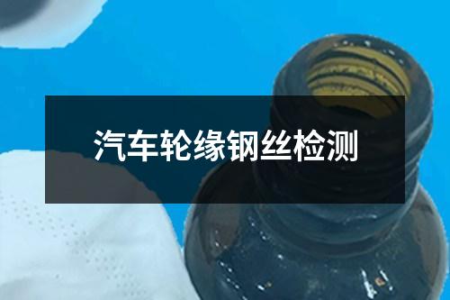 汽車輪緣鋼絲檢測
