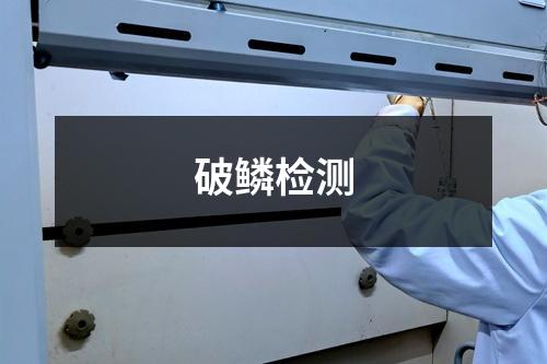 破鱗檢測