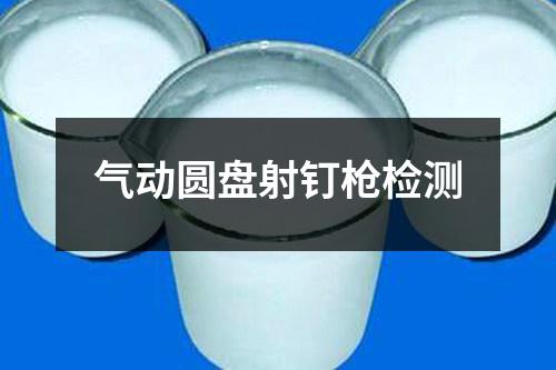氣動(dòng)圓盤射釘槍檢測(cè)